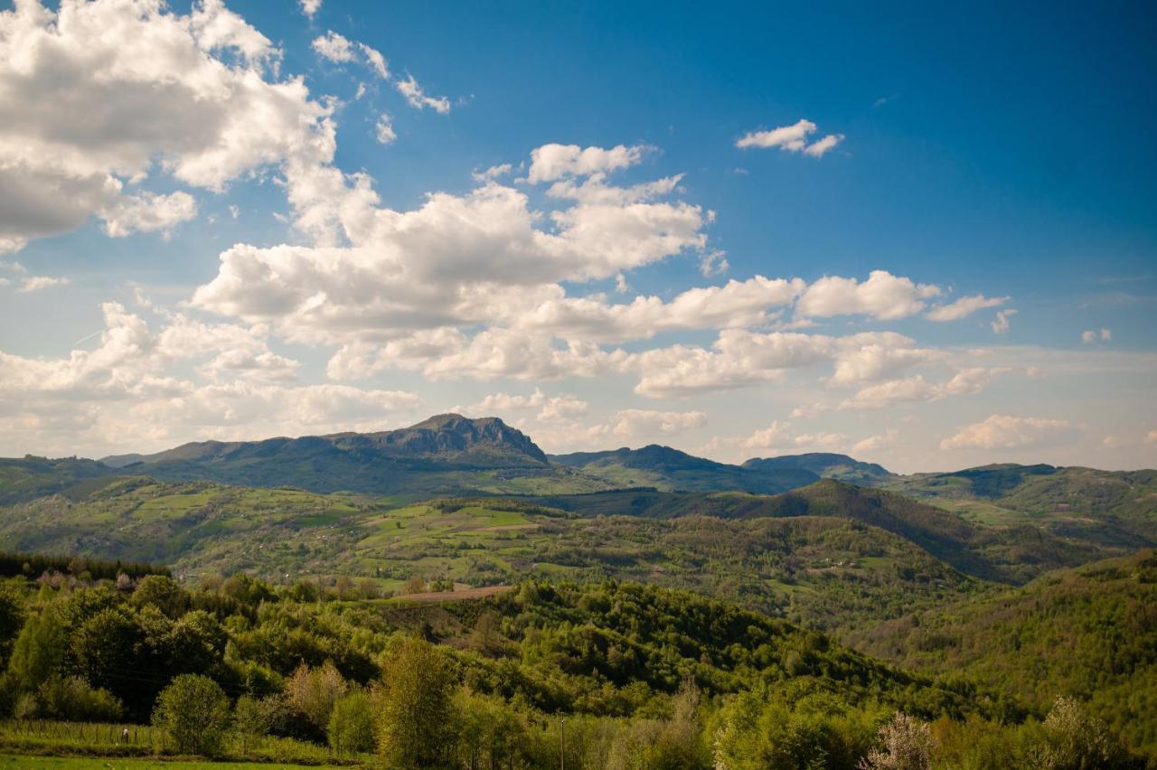 Vila Angelina Kušići Εξωτερικό φωτογραφία